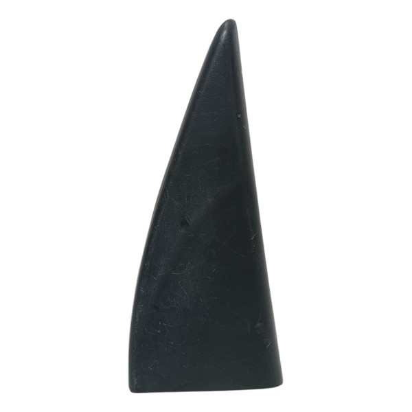 Moldura Interna Porta Traseira Esquerda Ford Focus 2005