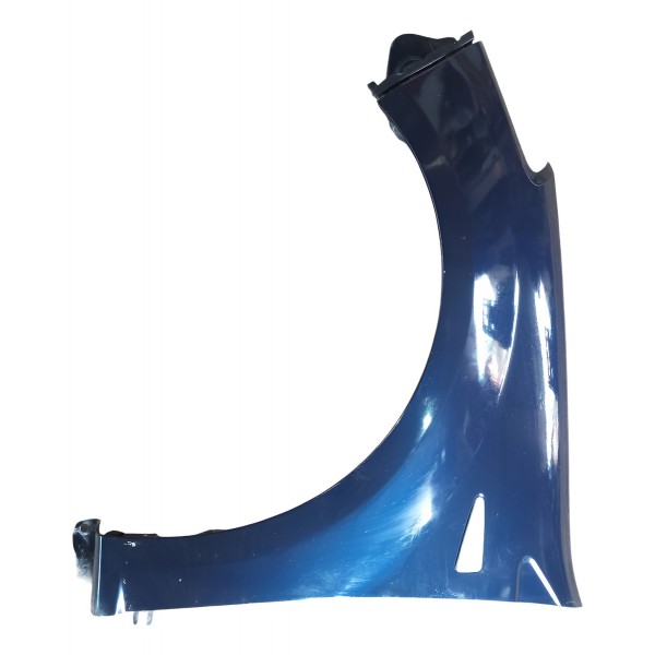 Paralama Lado Esquerdo Renault Sandero 2010 Paralama Lado Esquerdo Renault Sandero 2010