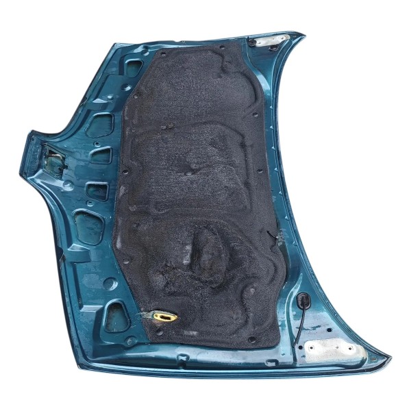 Capo Dianteiro Renault Scenic 1999