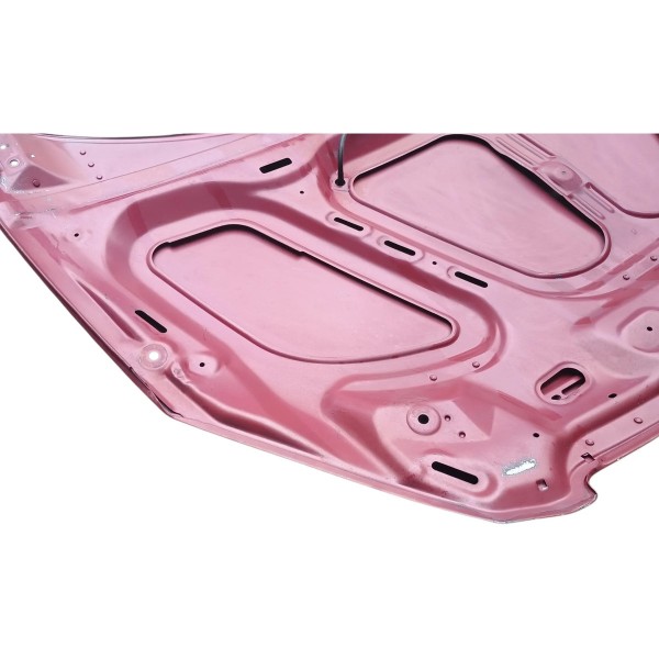 Capo Dianteiro Peugeot 307 2004